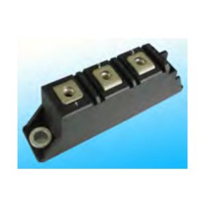 RDKF(RDAF-SDEF)2X100-04(06)B1(2) Ultra-Fast Recovery FRD Module